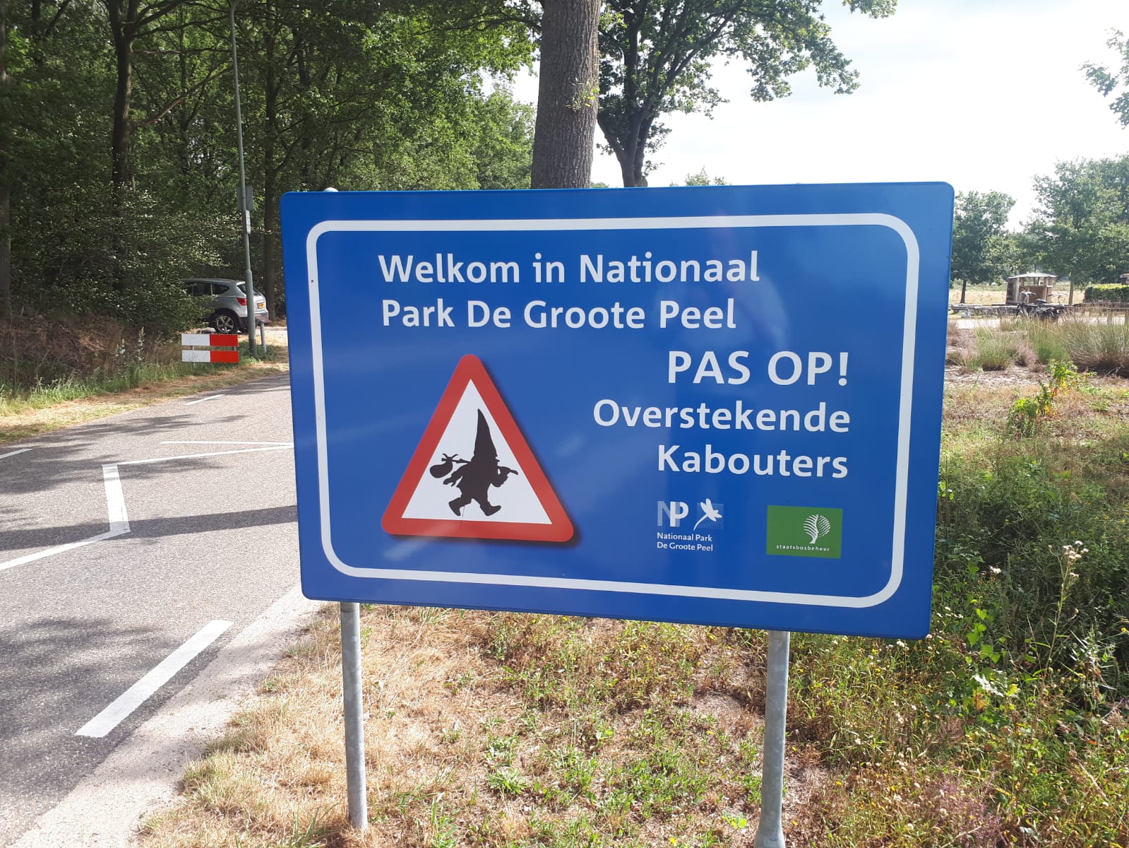 Content Afbeelding