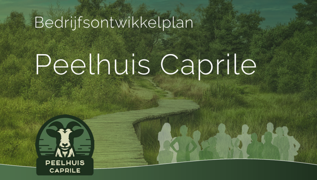 Image Project